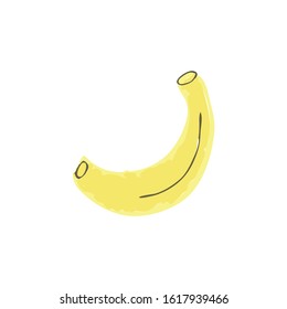 Hand drawn fruit banana vector illustration.