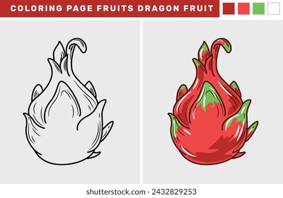 Dibujado a mano de la fruta para colorear página Dragon Fruit Vector