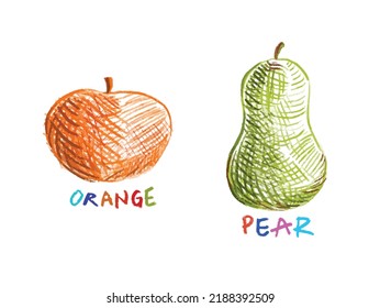 Hand drawn fruit drawing with colored pencil. Kids drawing of orange and pear fruit with colorful text below the drawing for card design vector illustration art