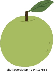 Hand drawn fruit green apple illustration