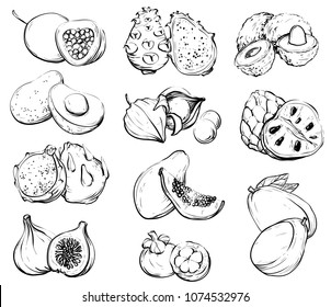 Hand drawn fruit, Healthy food