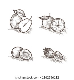 hand drawn fruit illustration