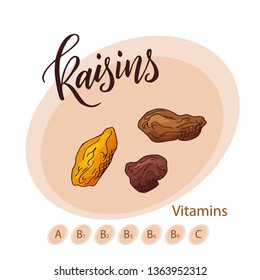 Hand drawn fruit illustration. Sweet raisins element. Vector sketch for card or poster.