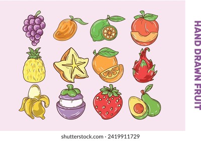 Hand drawn fruit illustration vector set