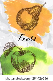 Hand drawn fruit. Pear and apple fruits vector illustration. Eco food