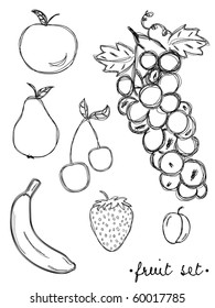 hand drawn fruit set