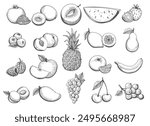 Hand drawn fruit sketch. Strawberry banana pineapple raspberry melon peach mango grapes apricot apple set isolated vector illustration