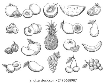 Dibujado a mano boceto de frutas. Fresa plátano piña frambuesa melón melocotón mango uvas albaricoque manzana conjunto aislado Ilustración vectorial