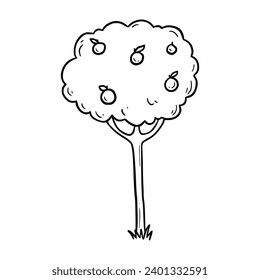 La mano dibujó un árbol de frutas. Estilo de dibujo de Doodle. Icono de árbol de línea de dibujo. Ilustración vectorial aislada.