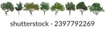 Hand drawn fruit trees collection
