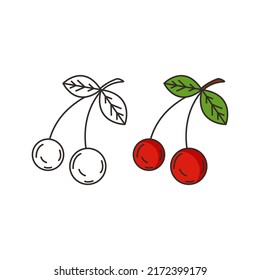 Hand drawn fruit vector template