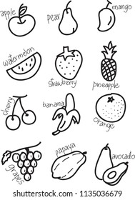 Hand drawn fruits