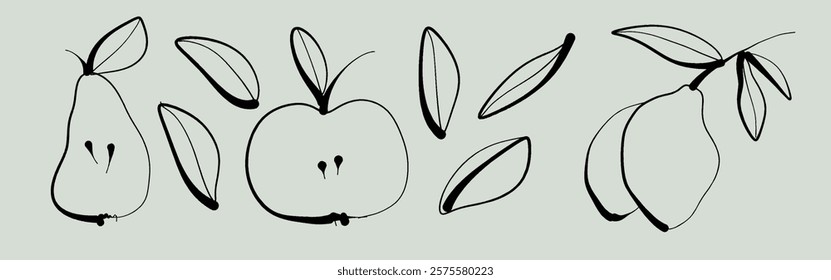 Hand drawn fruits apples and pear in minimalist ink brush brush style. Decorative vector elements.