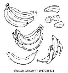 Hand drawn fruits. Bananas. Vector sketch  illustration.