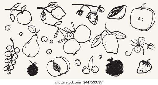 Hand drawn fruits and berries in minimalist ink brush charcoal style. Decorative vector elements for tattoo, greeting card, menu, wedding invitation. Black silhouette outline olive isolated on white.