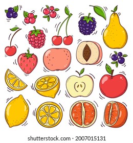 Hand drawn fruits and berries set