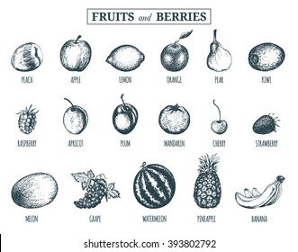 Hand drawn Fruits and berries sketches collection. Hand drawn greengrocery set for organic drink cards, farm eco products tags: Plum, Lemon, Orange, Apple,  Watermelon, Peach, Strawberry, Banana etc.