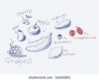 Hand drawn fruits and berries Vector