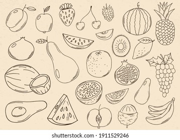 Hand drawn fruits collection vector design illustration isolated on background