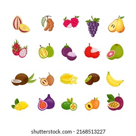 Hand drawn fruits. Doodle sketch summer food. Juicy papaya and peach. Sweet mango. Exotic ingredients. Vegan meal. Ripe lychee and carambola. Tropical products set. Vector cartoon art
