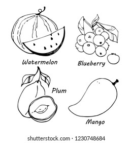 Hand drawn fruits icons set vector illustration for your design. Isolated on white background.