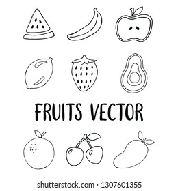 hand drawn fruits illustration vector