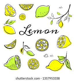 Hand drawn fruits lemon set vector illustration colored with shapes isolated on white background. Whole, parts, leaves and brunches sketch style collection. Fresh and tasty!