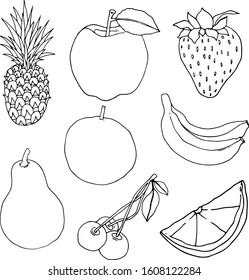 hand drawn fruits linear vector illustration designs.