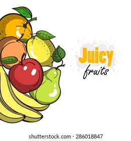 Hand drawn fruits on the white background. Vector illustration