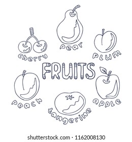 Hand drawn fruits set isolated on white background. Doodle style. Design elements for gift wrap or fabric.