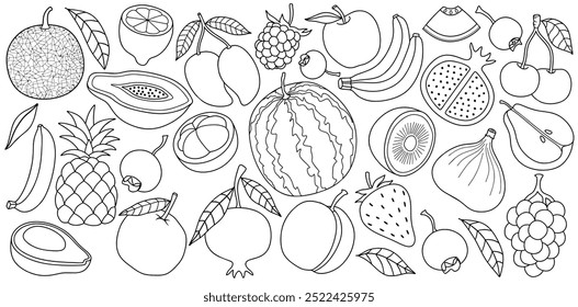 Hand drawn fruits set with line art style. doodle fruit background vector illustration.