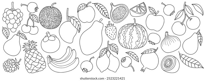 Hand drawn fruits set with line art style. doodle fruit background vector illustration.
