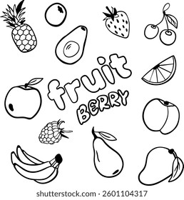 Hand drawn fruits sketch. Fruits and berry set isolated vector illustration.