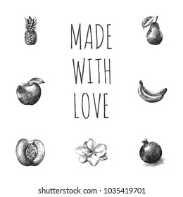 Hand drawn fruits sketches set. Collection of jonagold, banana, ananas and other sketch elements.