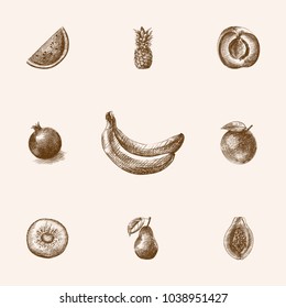 Hand drawn fruits sketches set. Collection of melon, lime, ananas and other sketch elements.