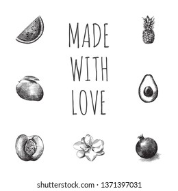 Hand drawn fruits sketches set. Collection of pineapple, peach, watermelon and other sketch elements.