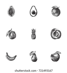 Hand Drawn Fruits Sketches Set. Collection Of Ananas, Banana, Apricot And Other Sketch Elements.