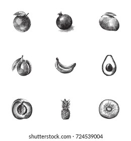 Hand Drawn Fruits Sketches Set. Collection Of Banana, Alligator Pear, Ananas And Other Sketch Elements.