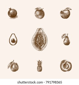 Hand Drawn Fruits Sketches Set. Collection Of Pawpaw, Jonagold, Lime And Other Sketch Elements.