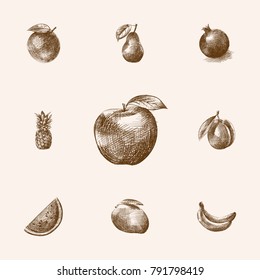 Hand Drawn Fruits Sketches Set. Collection Of Melon, Jonagold, Banana And Other Sketch Elements.