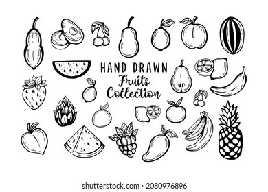 Hand drawn fruits vector collection