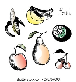 Hand Drawn Fruits Vector Illustration