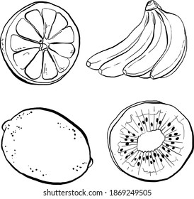 Hand Drawn Fruits Vector Illustrations in black and white