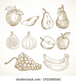 Hand Drawn Fruits Vector Illustrations Collection. Apples, Pears, Quince, Figs, Grapes and Bananas Sketches Set. Natural Food Doodles. Isolated.