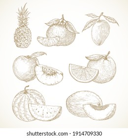 Hand Drawn Fruits Vector Illustrations Collection. Pineapple, Mango, Tangerines, Peaches and Watermelon Sketches Set. Natural Food Doodles. Isolated.