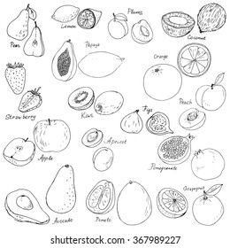 hand drawn fruits vector set, ink drawing isolated food elements