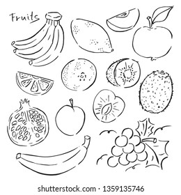 Hand drawn fruits vector. Sketch fruits isolated on white background. Apple, bananas, orange, apricot isolated on white background