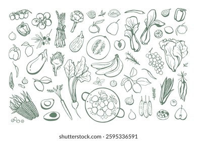 Hand drawn fruits and vegetables set