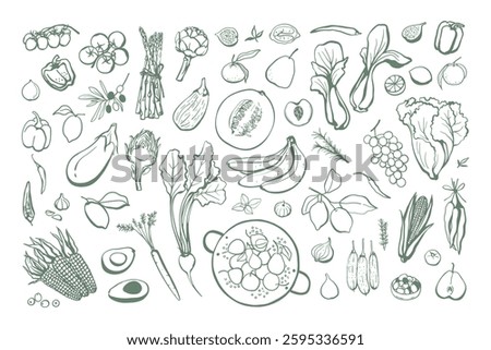 Hand drawn fruits and vegetables set