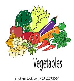 hand drawn fruits and vegetables vector